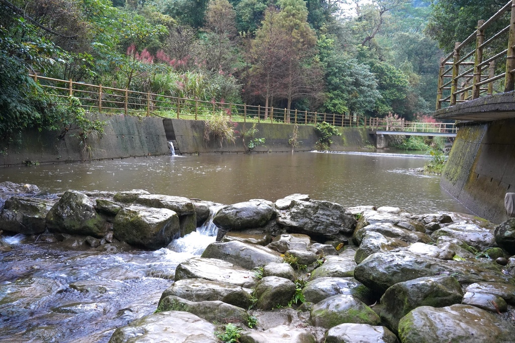 基隆景點｜台版亞馬遜河，瑪陵坑溪，富民親水公園，基隆IG打卡秘境，一秒到日本河谷，親子玩水賞桐花！ @瑪姬幸福過日子