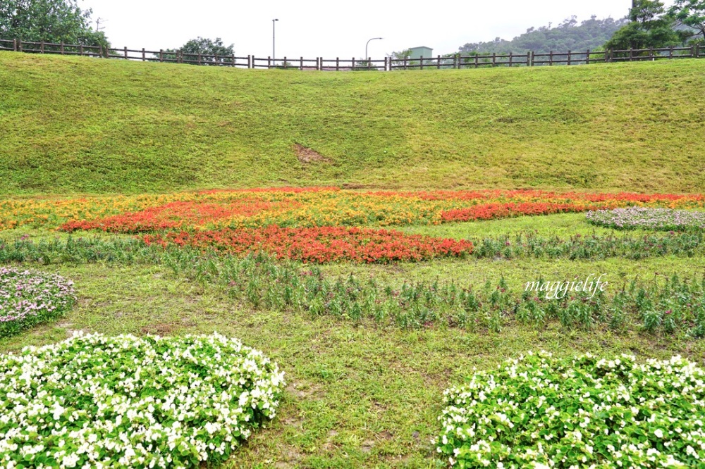 台北內湖一日遊｜內湖大溝溪親水公園步道花海已經開始了，免費景點，放假親子踏青郊遊野餐，可賞蝶，內湖縱走！ @瑪姬幸福過日子