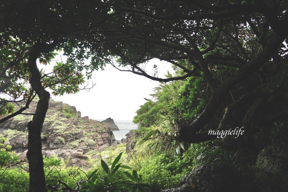 宜蘭頭城免費景點，北關海潮公園，礁岩海岸步道私房秘境，一線天，蘭陽八景，遠眺龜山島海天一線！ @瑪姬幸福過日子