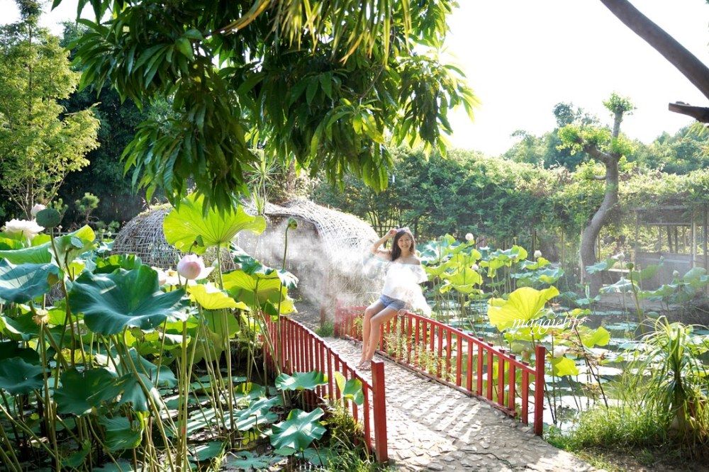 桃園觀音景點，蓮荷園休閒農場，賞蓮花坐大王蓮當拇指公主，盪鞦韆，搭小木船超多美拍場景，還可以吃蓮子冰！ @瑪姬幸福過日子