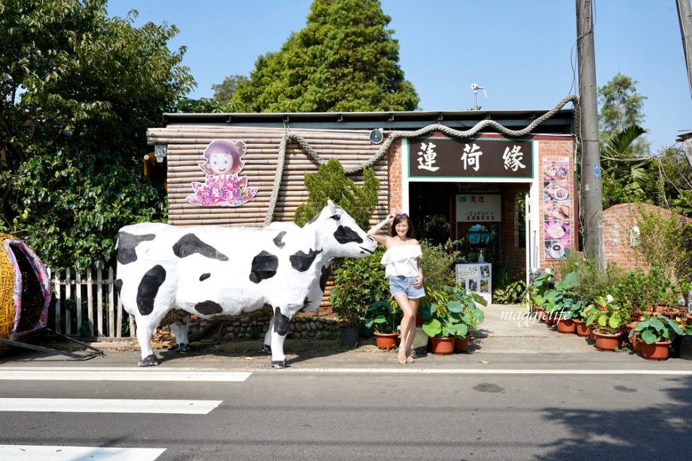 桃園觀音景點，蓮荷園休閒農場，賞蓮花坐大王蓮當拇指公主，盪鞦韆，搭小木船超多美拍場景，還可以吃蓮子冰！ @瑪姬幸福過日子