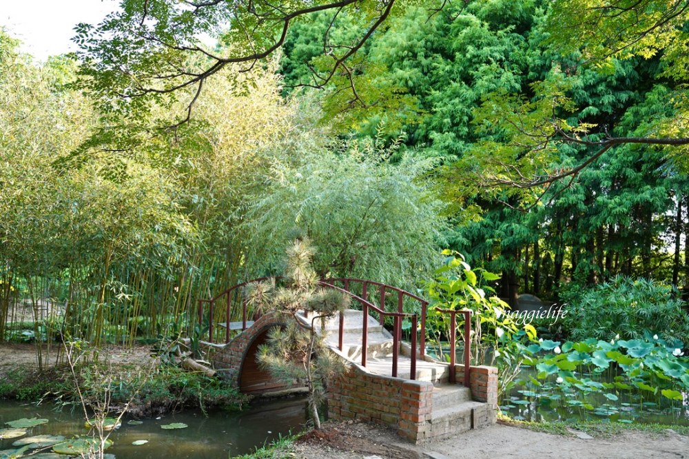 桃園觀音景點，蓮荷園休閒農場，賞蓮花坐大王蓮當拇指公主，盪鞦韆，搭小木船超多美拍場景，還可以吃蓮子冰！ @瑪姬幸福過日子