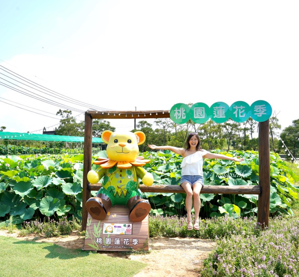 「2023桃園觀音蓮花季」，觀音區蓮花園休閒農業區，賞蓮一日遊，坐大王蓮，時間/地點，IG打卡景點推薦！ @瑪姬幸福過日子