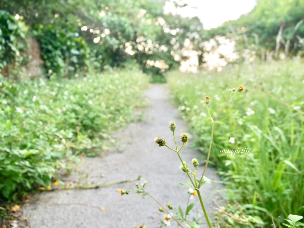 基隆景點｜容軒步道基隆觀景秘境，5分鐘攻頂，就有360度無敵海景夕陽景觀，看日出也超美，順遊台鐵海科館站｜北火宿舍 @瑪姬幸福過日子