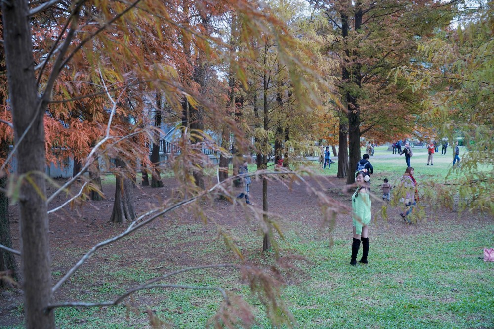 台北｜內湖大湖公園落羽松，野餐親子一日遊，帶毛孩步道散步，觀賞全台最美錦帶橋 @瑪姬幸福過日子