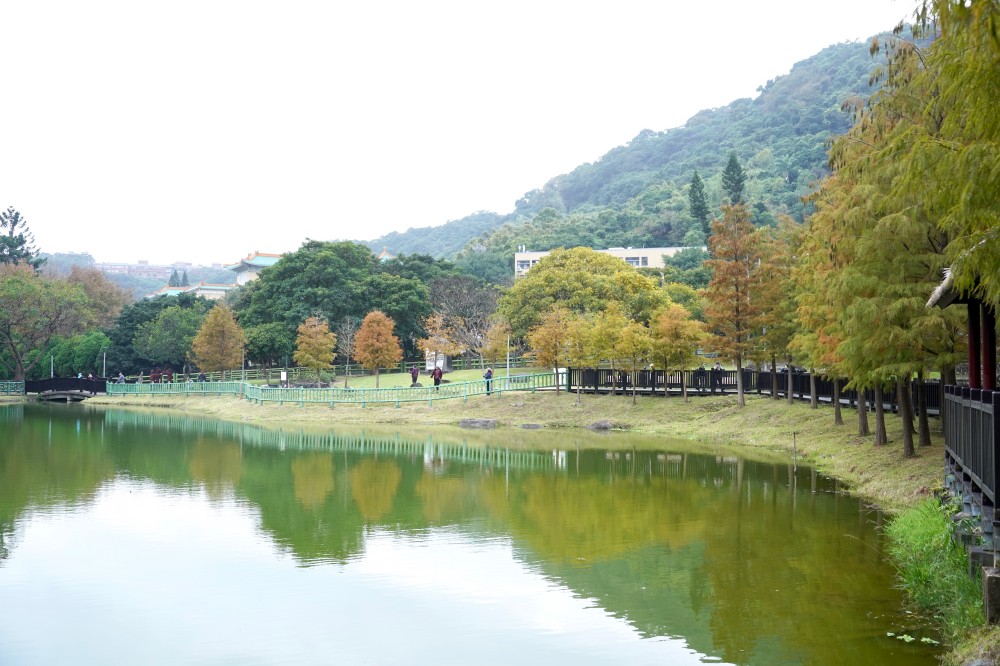 台北｜原住民文化主題公園落羽松，故宮旁的秘境公園，免費景點，落雨松倒影一秒到韓國 @瑪姬幸福過日子