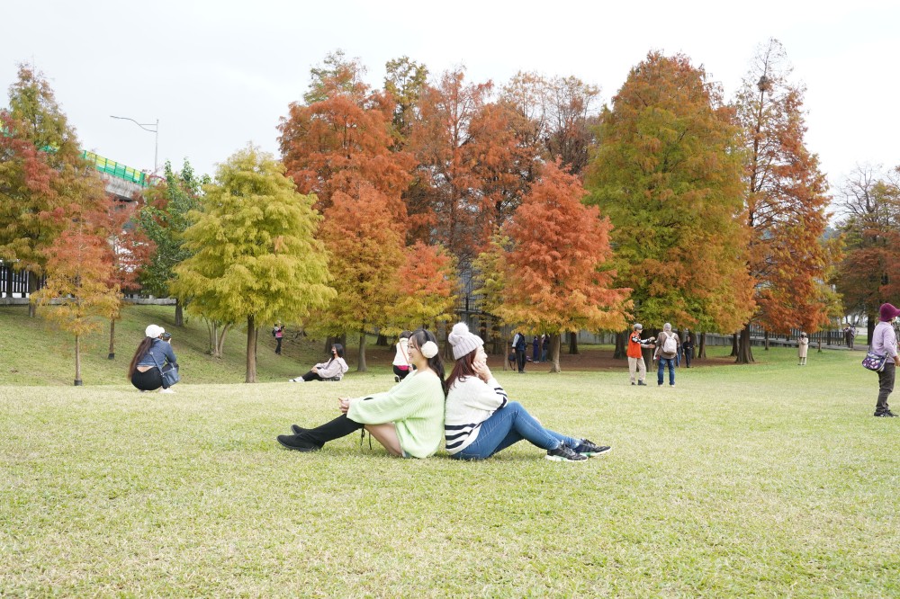 台北｜內湖大湖公園落羽松，野餐親子一日遊，帶毛孩步道散步，觀賞全台最美錦帶橋 @瑪姬幸福過日子