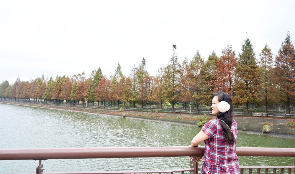 桃園八德霄裡大池落羽松林，埤塘環湖美景超級浪漫，落羽松大道一秒來韓國偶像劇 @瑪姬幸福過日子