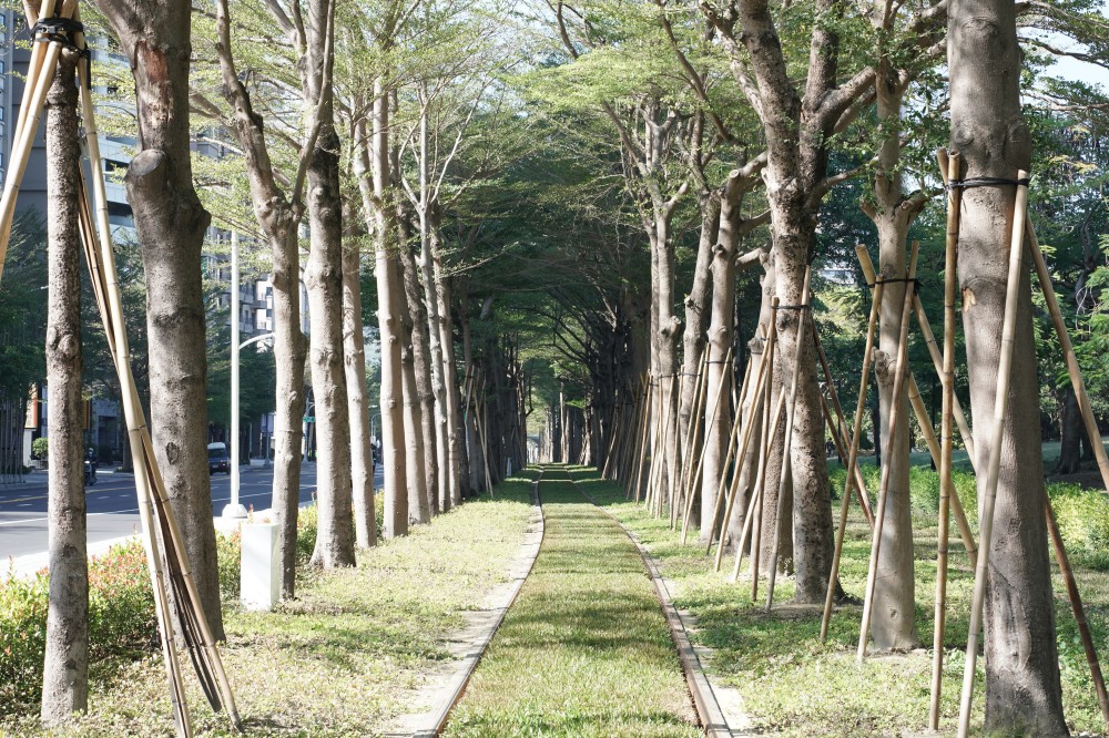 高雄輕軌龍貓隧道，高雄最美輕軌景點一秒來到宮崎駿的電影動畫場景 @瑪姬幸福過日子