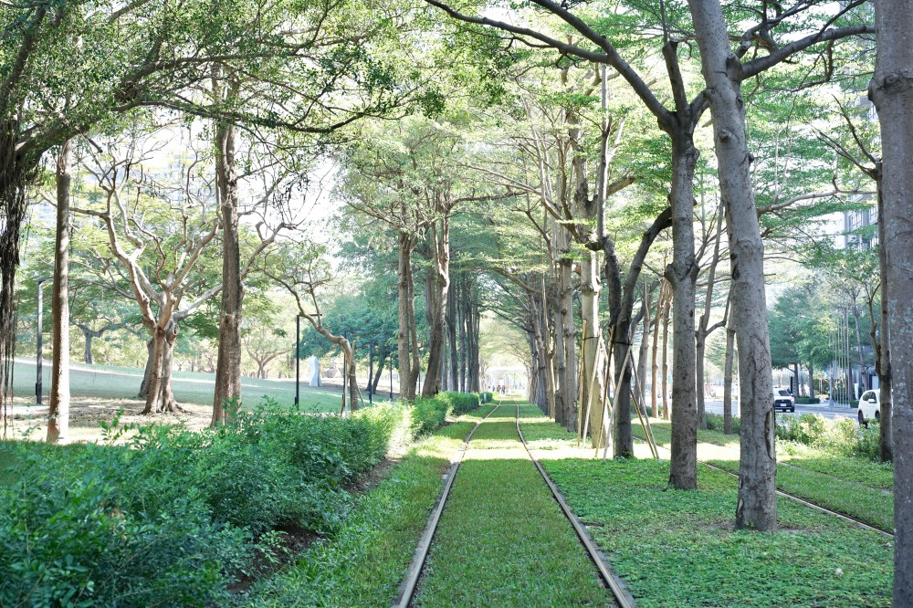 高雄輕軌龍貓隧道，高雄最美輕軌景點一秒來到宮崎駿的電影動畫場景 @瑪姬幸福過日子