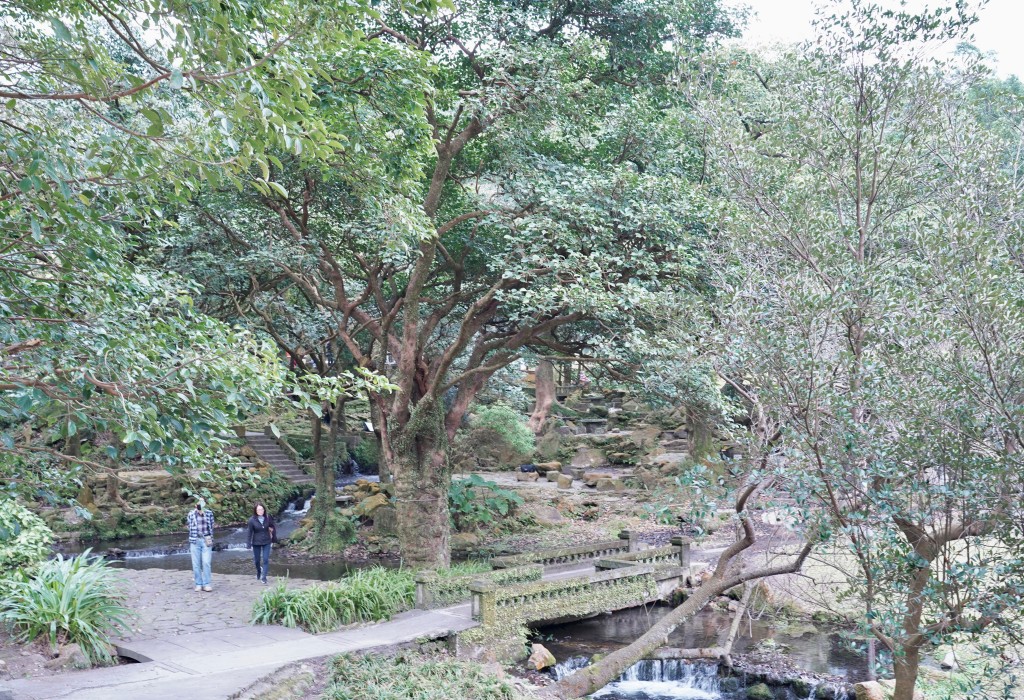 陽明山前山公園賞櫻花｜前山公園公共浴池免費男湯女湯溫泉泡湯，日式陽明湖美呆，磐流園超像亞馬遜公園，交通 @瑪姬幸福過日子