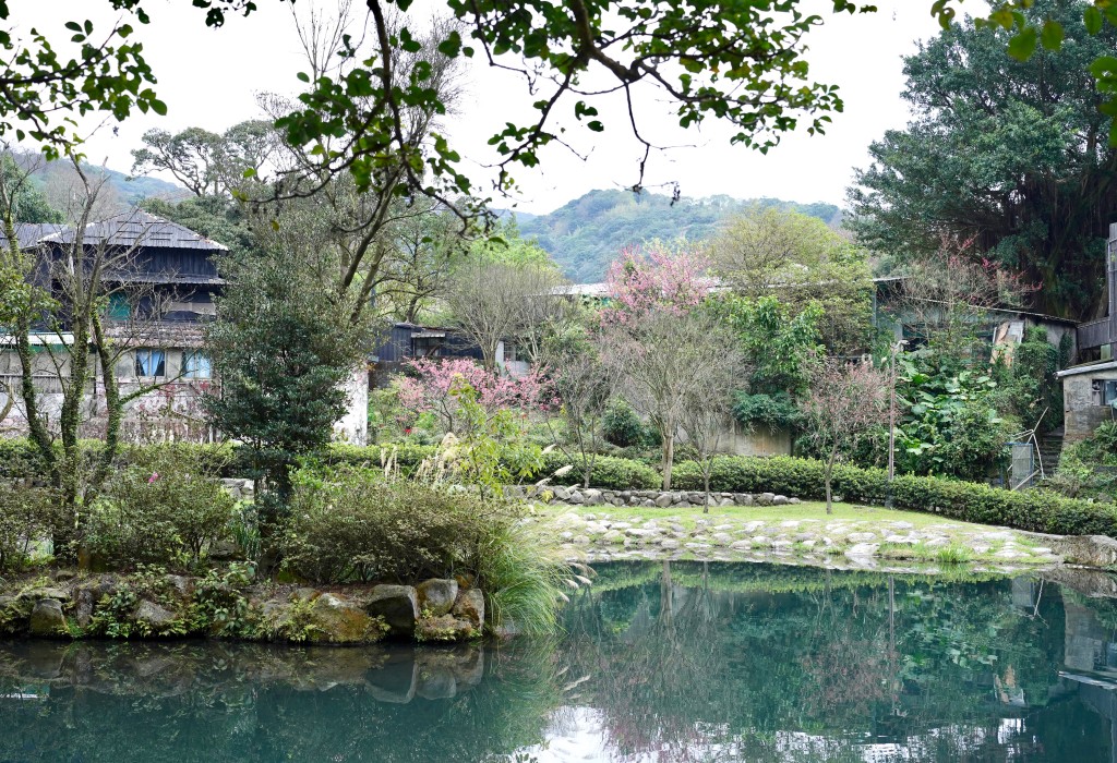 陽明山前山公園賞櫻花｜前山公園公共浴池免費男湯女湯溫泉泡湯，日式陽明湖美呆，磐流園超像亞馬遜公園，交通 @瑪姬幸福過日子