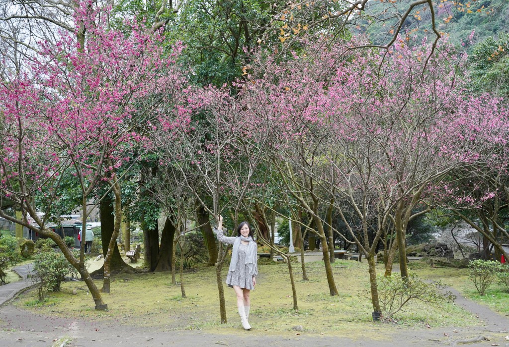 陽明山前山公園賞櫻花｜前山公園公共浴池免費男湯女湯溫泉泡湯，日式陽明湖美呆，磐流園超像亞馬遜公園，交通 @瑪姬幸福過日子