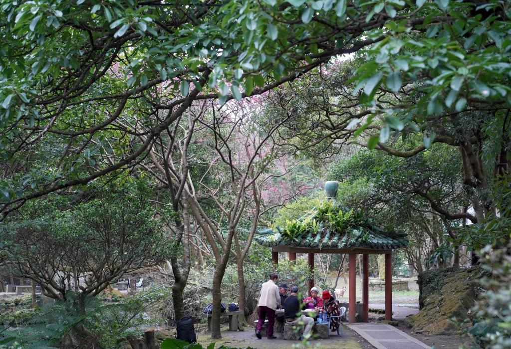 陽明山前山公園賞櫻花｜前山公園公共浴池免費男湯女湯溫泉泡湯，日式陽明湖美呆，磐流園超像亞馬遜公園，交通 @瑪姬幸福過日子