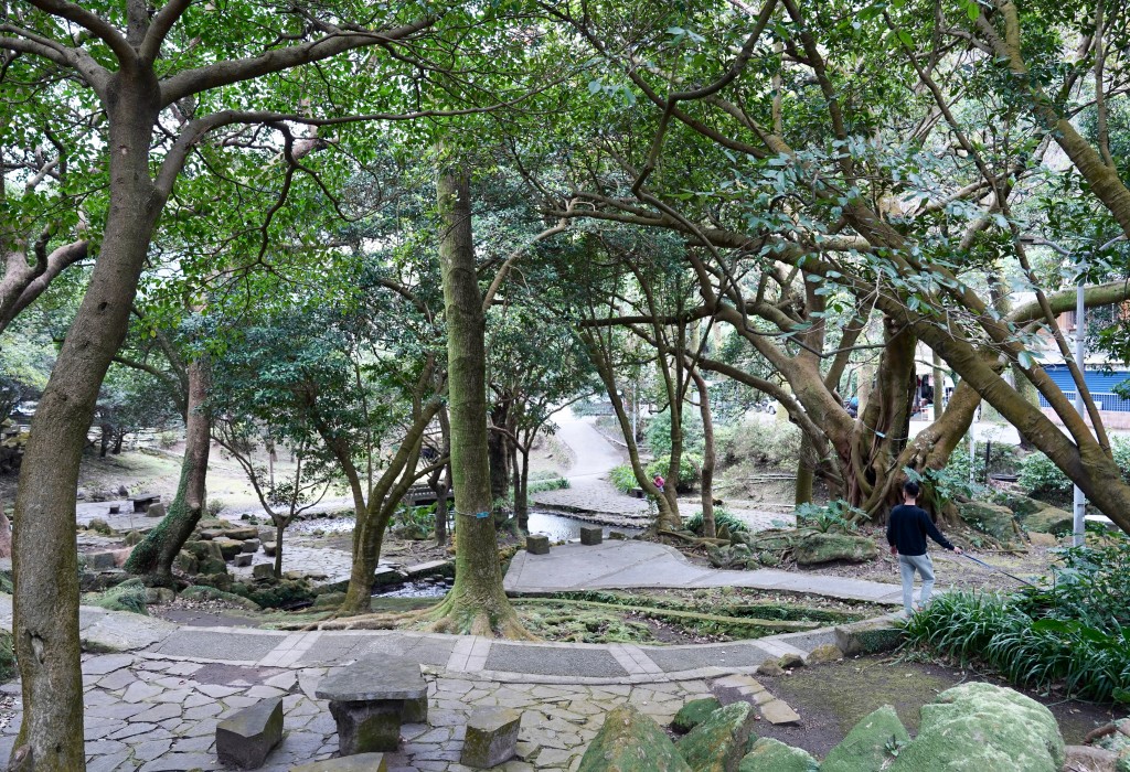 陽明山前山公園賞櫻花｜前山公園公共浴池免費男湯女湯溫泉泡湯，日式陽明湖美呆，磐流園超像亞馬遜公園，交通 @瑪姬幸福過日子