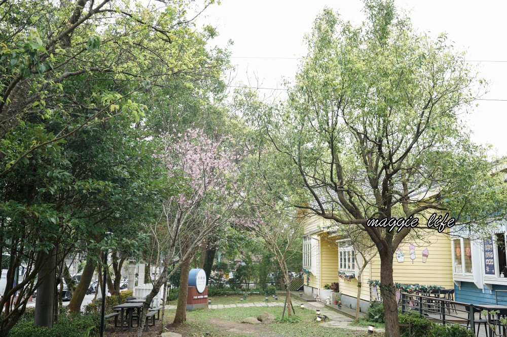 台北星巴克草山門市，陽明山美軍宿舍群也有超美櫻花，陽明山櫻花季可以來賞櫻 @瑪姬幸福過日子