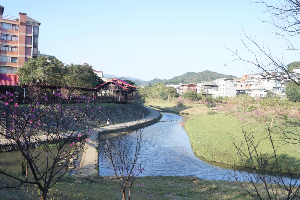 內溝溪自然生態步道賞櫻秘境，內湖五分埤生態濕地賞櫻，還有賞鳥區 @瑪姬幸福過日子