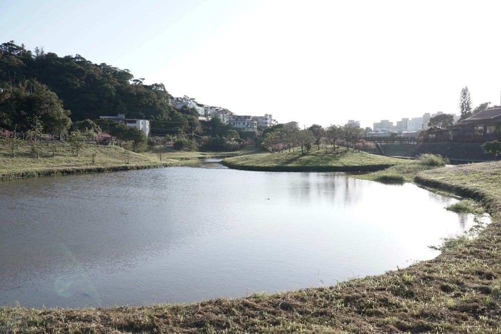 內溝溪自然生態步道賞櫻秘境，內湖五分埤生態濕地賞櫻，還有賞鳥區 @瑪姬幸福過日子