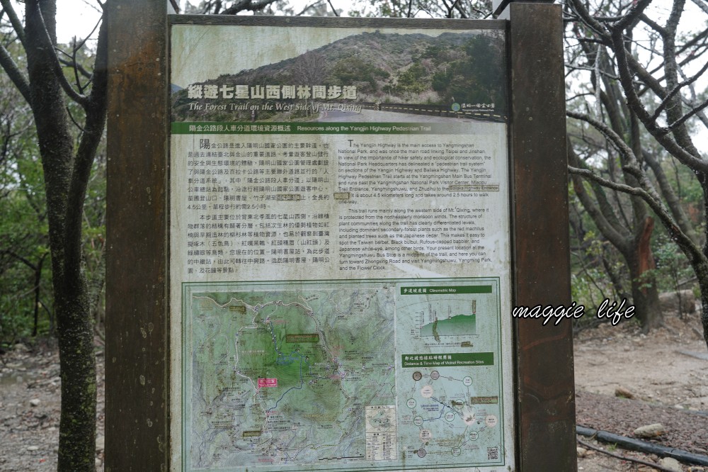 陽明山紫明溪步道｜陽明山最新秘境，免費泡野溪溫泉，還有超美櫻花，就在陽明書屋對面 @瑪姬幸福過日子