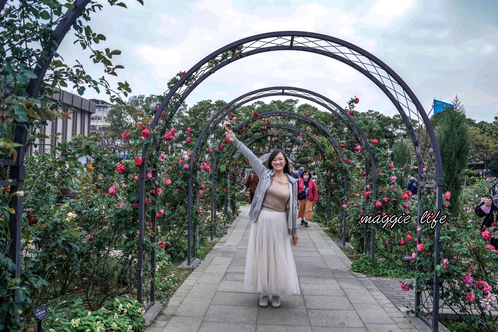 新生公園台北玫瑰園台北玫瑰展｜花開了，玫瑰花盛開免費入園，玫瑰展期間交通攻略，24小時都可賞花！ @瑪姬幸福過日子