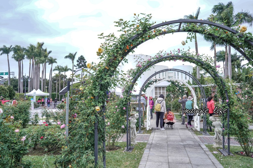 新生公園台北玫瑰園台北玫瑰展｜花開了，玫瑰花盛開免費入園，玫瑰展期間交通攻略，24小時都可賞花！ @瑪姬幸福過日子