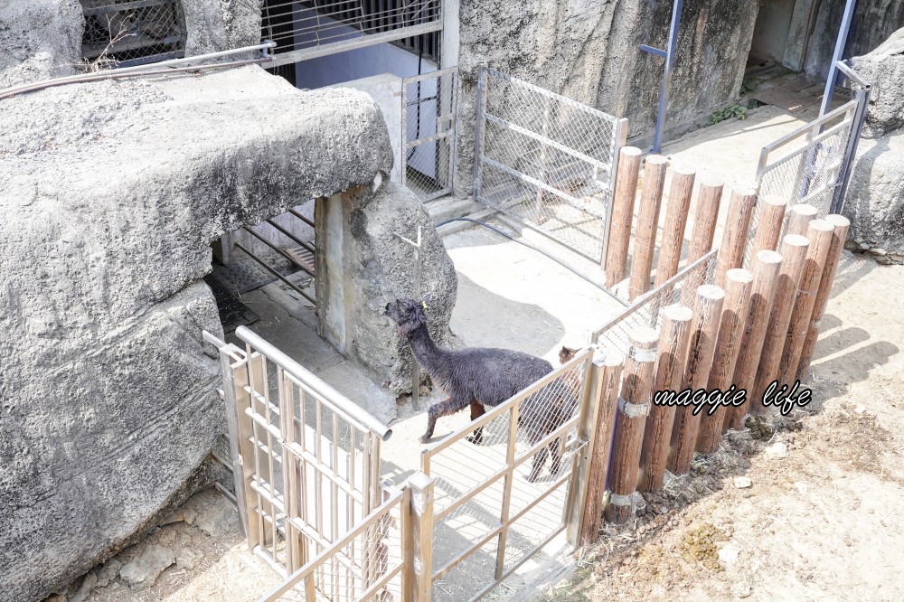 高雄壽山動物園，2023門票交通，開放時間，導覽地圖，必看動物，南部最大動物園 @瑪姬幸福過日子