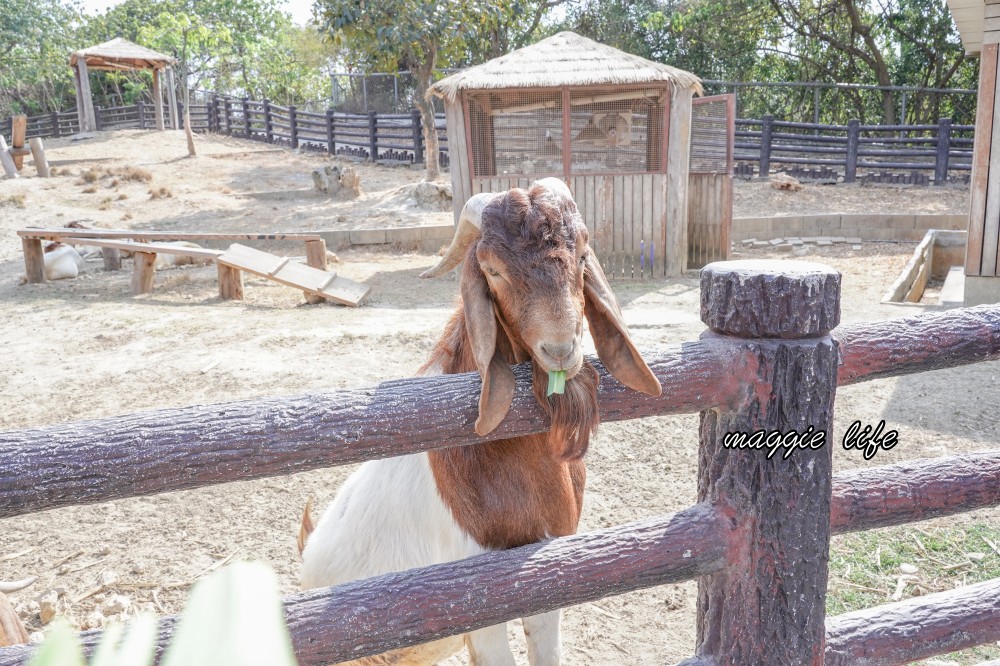 高雄壽山動物園，2023門票交通，開放時間，導覽地圖，必看動物，南部最大動物園 @瑪姬幸福過日子