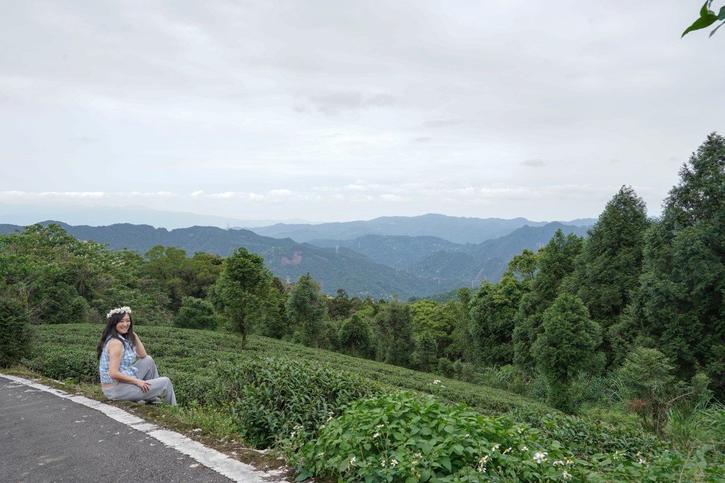 新北石碇桐花步道，賞桐花秘境加上絕美茶園層層山巒，賞桐景點公開！ @瑪姬幸福過日子