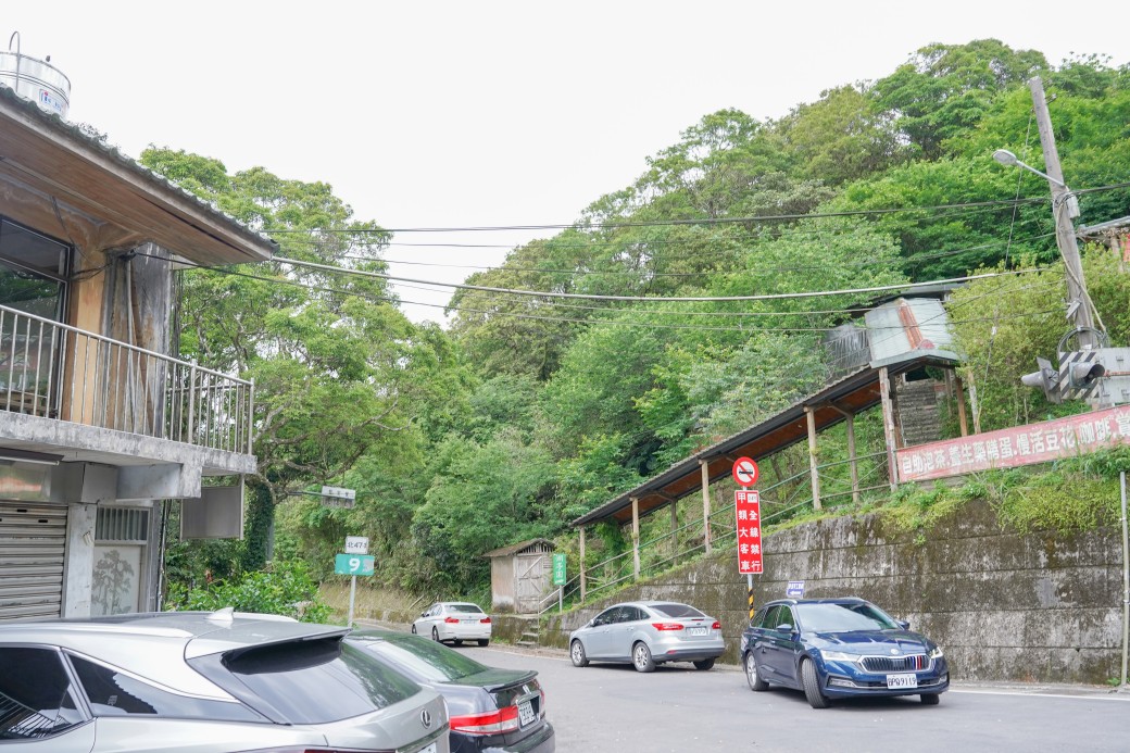 新北石碇桐花步道，賞桐花秘境加上絕美茶園層層山巒，賞桐景點公開！ @瑪姬幸福過日子