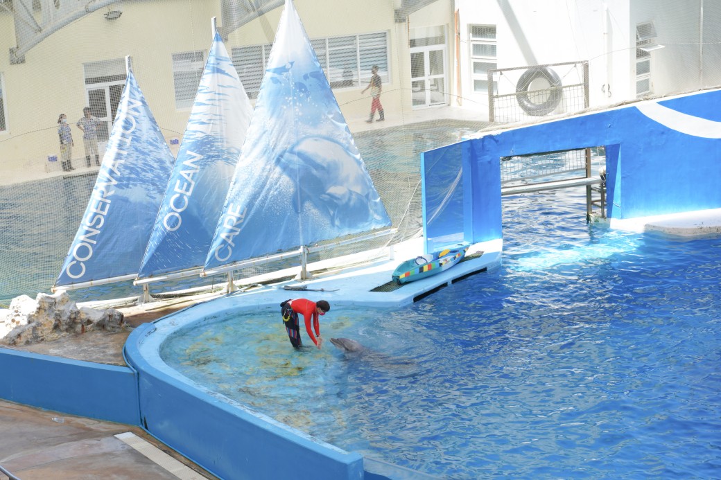 2023遠雄海洋公園｜花蓮親子必玩景點遊樂園，海底隧道，美人魚等，園區全攻略，門票優惠 @瑪姬幸福過日子