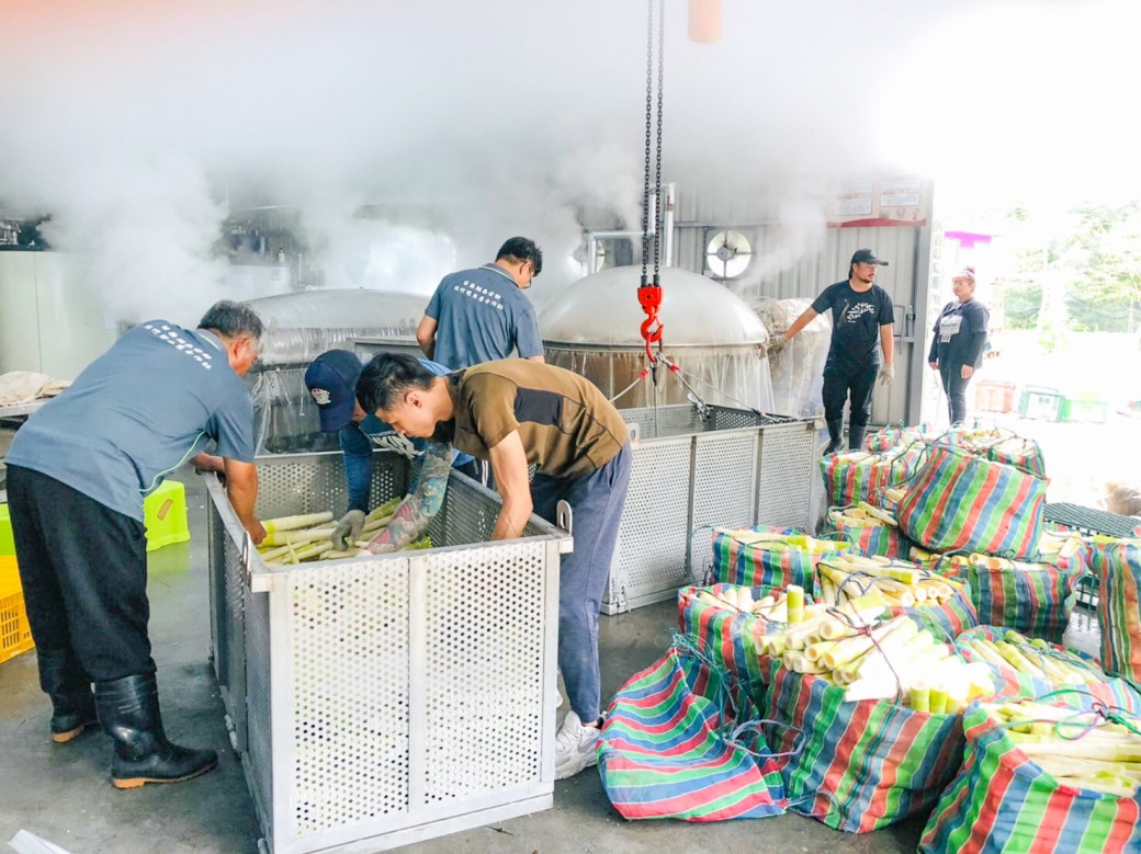 苗栗泰安一日遊，逛泰安清安豆腐街，去泰安秘境竹林，吃在地小農的紅肉李，桂竹筍，再去文物館帶小孩放電 @瑪姬幸福過日子