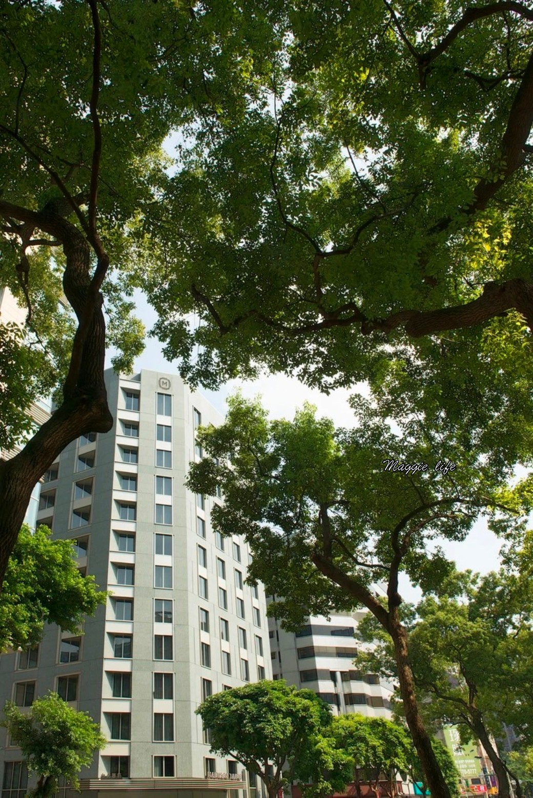 台北慕軒飯店住宿開箱｜正對敦南綠色林蔭大道，台北米其林指南推薦飯店，一泊二食享受義大利餐 @瑪姬幸福過日子