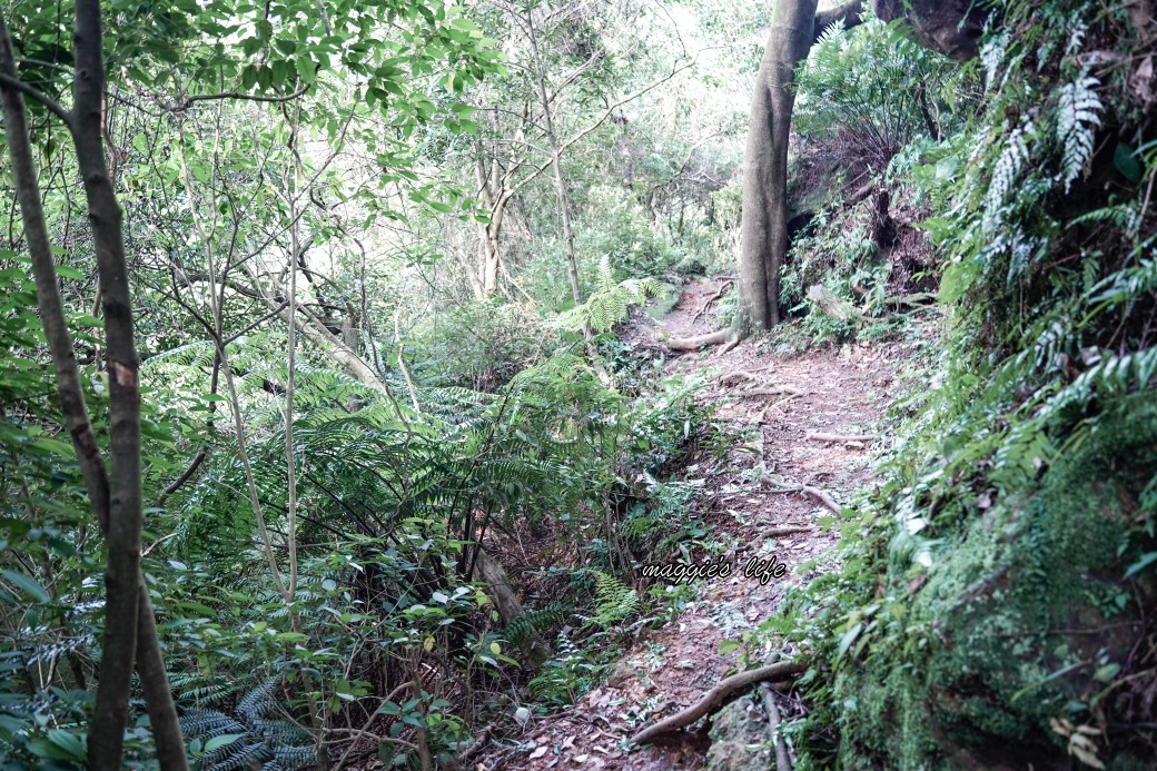 陽明山野溪溫泉秘境｜下七股野溪溫泉，夢幻絕美牛奶湯，交通，注意事項路線攻略 @瑪姬幸福過日子