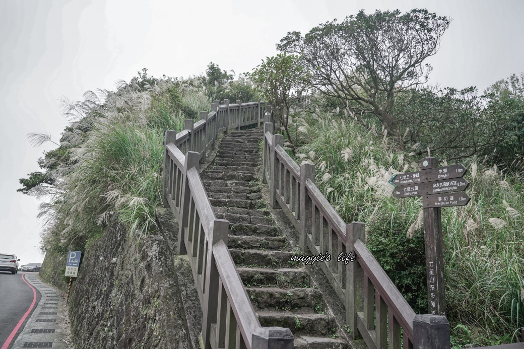 陽明山冷水坑七星山一日遊，芒草季賞芒草美景，秋天必追芒草，階梯步道美景 @瑪姬幸福過日子