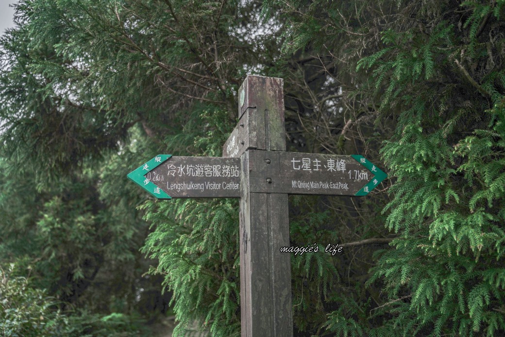 陽明山冷水坑七星山一日遊，芒草季賞芒草美景，秋天必追芒草，階梯步道美景 @瑪姬幸福過日子