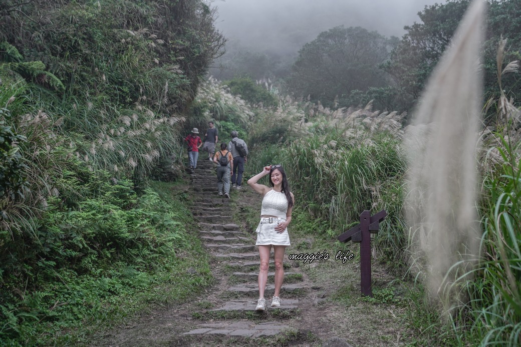 陽明山冷水坑七星山一日遊，芒草季賞芒草美景，秋天必追芒草，階梯步道美景 @瑪姬幸福過日子