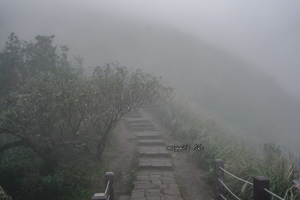 陽明山冷水坑七星山一日遊，芒草季賞芒草美景，秋天必追芒草，階梯步道美景 @瑪姬幸福過日子