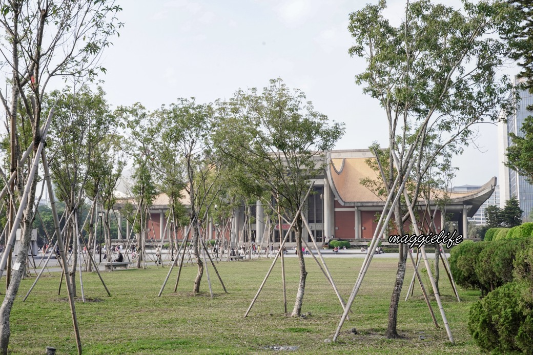 台北市賞櫻新景點，市中心台北國父紀念館也可以賞櫻，搭捷運就可以賞櫻花，還有一排櫻花步道 @瑪姬幸福過日子