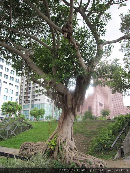 台北輕旅行～四四南村,台北必遊景點,文青必去,IG打卡景點,台北文創市集,眷村文化館,捷運紅線景點＠瑪姬幸福過日子 @瑪姬幸福過日子