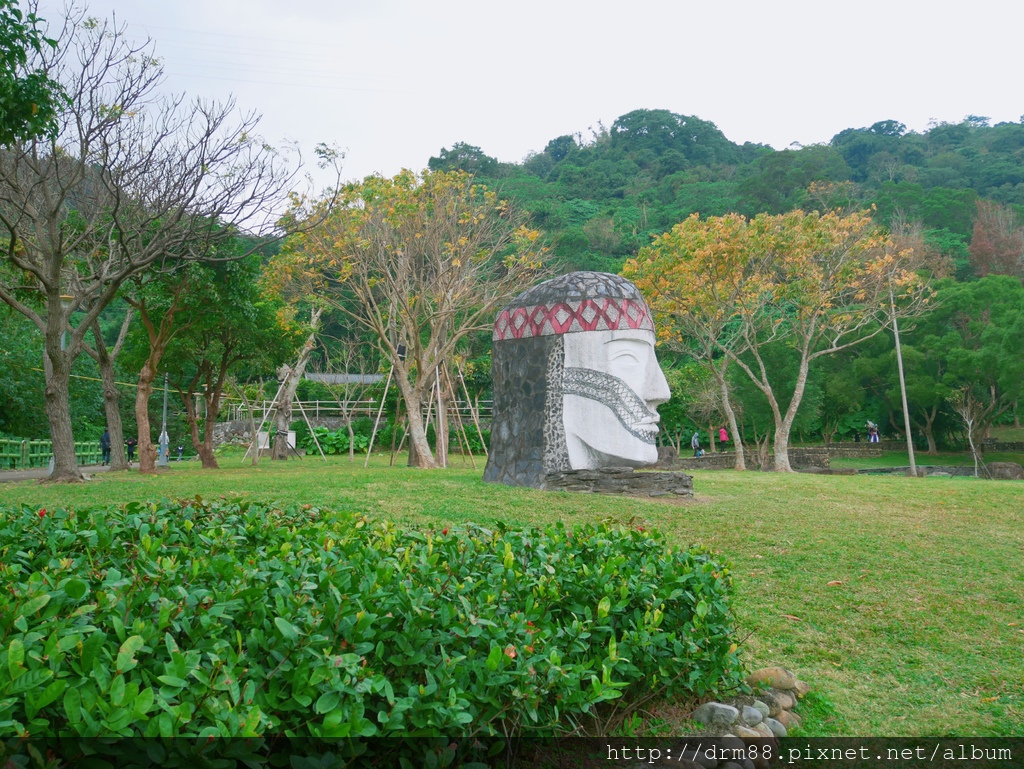 台北落羽松景點，台北原住民文化主題公園，冬季限定的落羽松美景，市區的小秘境＠瑪姬幸福過日子 @瑪姬幸福過日子