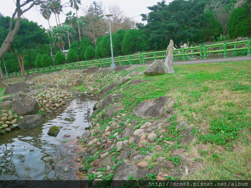 台北落羽松景點，台北原住民文化主題公園，冬季限定的落羽松美景，市區的小秘境＠瑪姬幸福過日子 @瑪姬幸福過日子