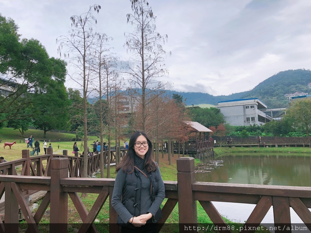 台北落羽松景點，台北原住民文化主題公園，冬季限定的落羽松美景，市區的小秘境＠瑪姬幸福過日子 @瑪姬幸福過日子