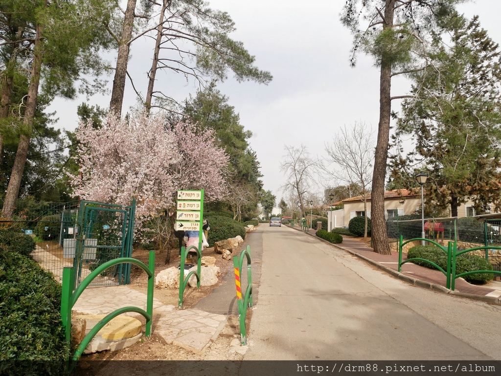 【以色列景點】全世界獨一無二的Kibbutz 以色列集體農場 ，台灣沒有的農莊＠瑪姬幸福過日子 @瑪姬幸福過日子