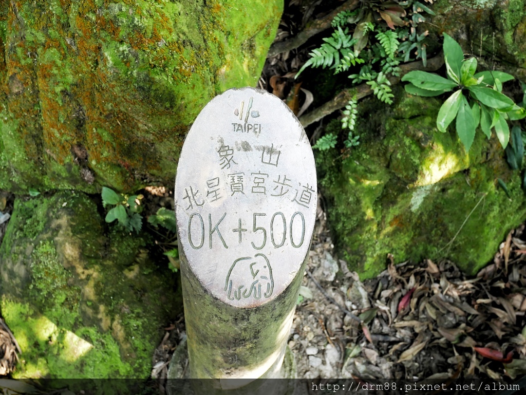 台北信義區一日遊，象山親山步道，遠眺台北盆地，101美不勝收＋四四南村/交通＠瑪姬幸福過日子 @瑪姬幸福過日子