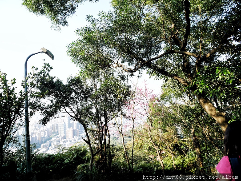 台北信義區一日遊，象山親山步道，遠眺台北盆地，101美不勝收＋四四南村/交通＠瑪姬幸福過日子 @瑪姬幸福過日子