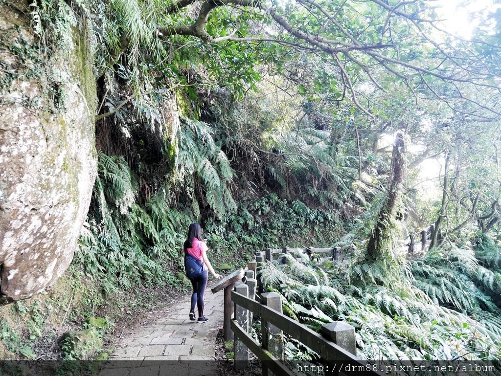 台北信義區一日遊，象山親山步道，遠眺台北盆地，101美不勝收＋四四南村/交通＠瑪姬幸福過日子 @瑪姬幸福過日子