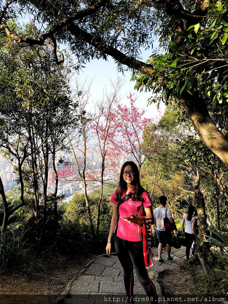 台北信義區一日遊，象山親山步道，遠眺台北盆地，101美不勝收＋四四南村/交通＠瑪姬幸福過日子 @瑪姬幸福過日子