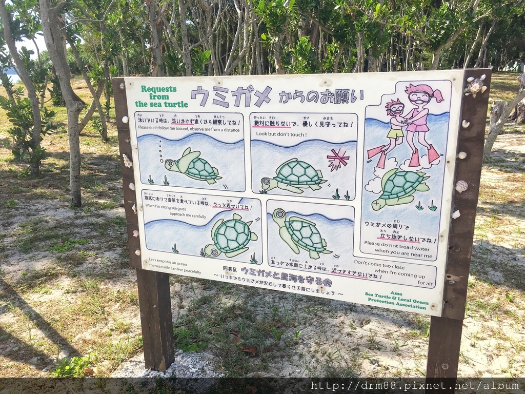 【沖繩旅遊】沖繩離島游,古座間味海灘,阿真海灘,米其林2星海灘,浮濳必去＠瑪姬幸福過日子 @瑪姬幸福過日子