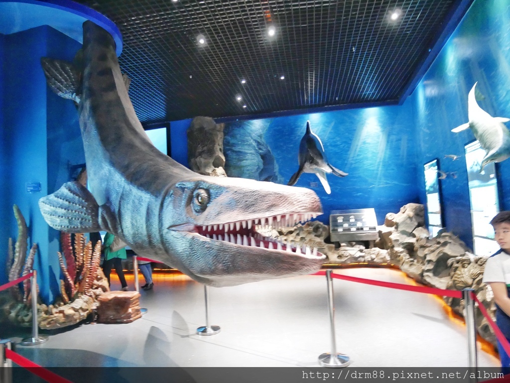 【俄羅斯海參崴 水族館】海參崴自由行,海參崴水族館,海參崴親子景點,俄羅斯島必遊景點＠瑪姬幸福過日子 @瑪姬幸福過日子