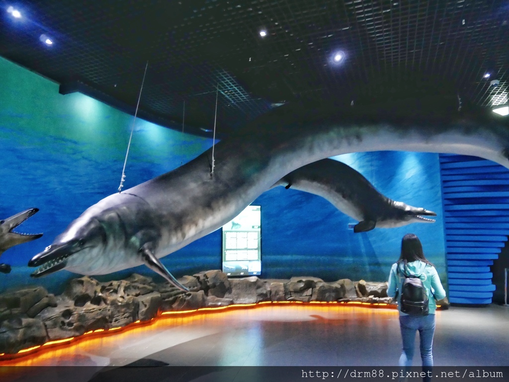 【俄羅斯海參崴 水族館】海參崴自由行,海參崴水族館,海參崴親子景點,俄羅斯島必遊景點＠瑪姬幸福過日子 @瑪姬幸福過日子